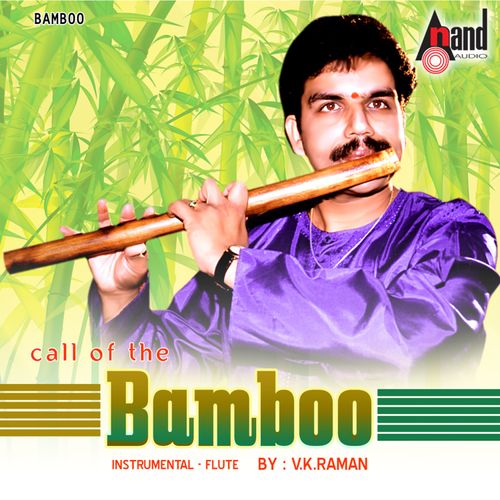 playing Thillana - Raag - Thilang - Taal - Adi by V.K.Raman